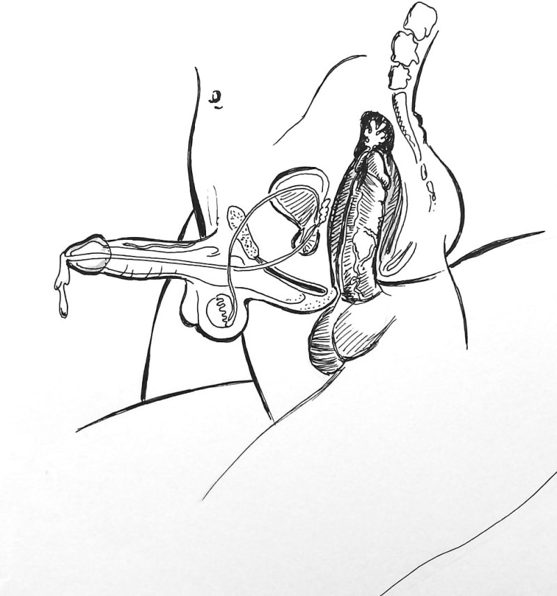 Finger in the ass man