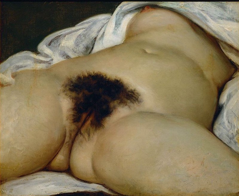 Gustav Courbet Origin of the world Oil canvas 1866