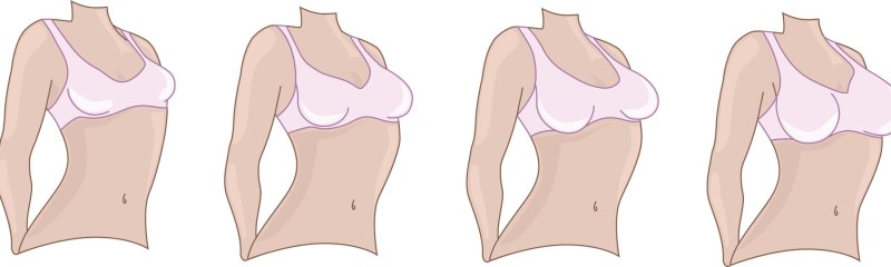The dimensions of the sternum in women