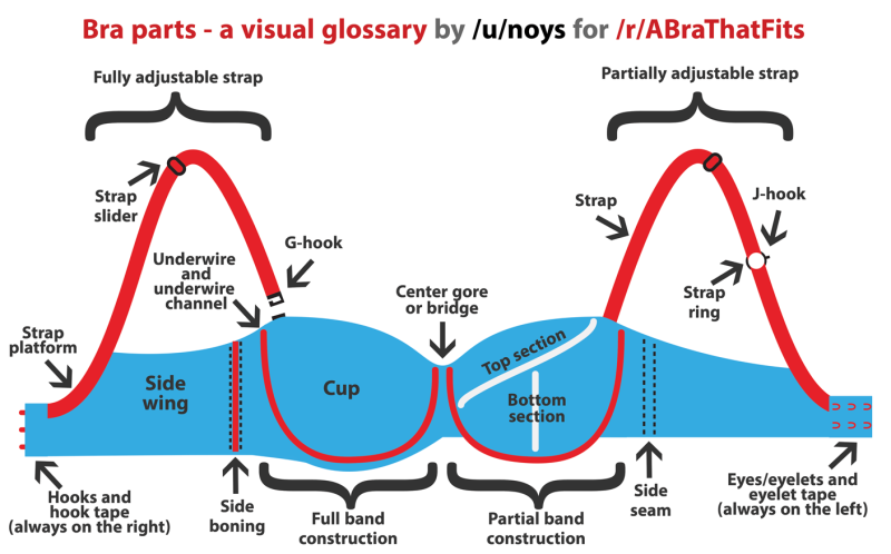 What are the part of the bra is called