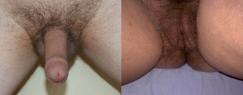 Angelfuns-Super-Bushy-Pubes-Pid photo