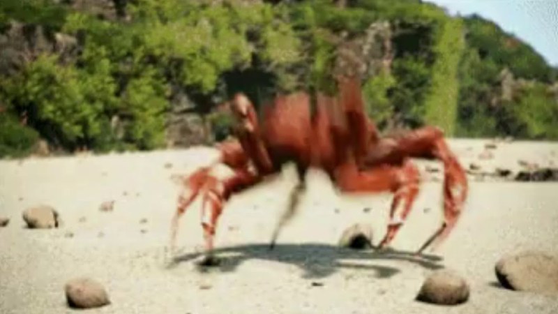 Canna Kamui eats