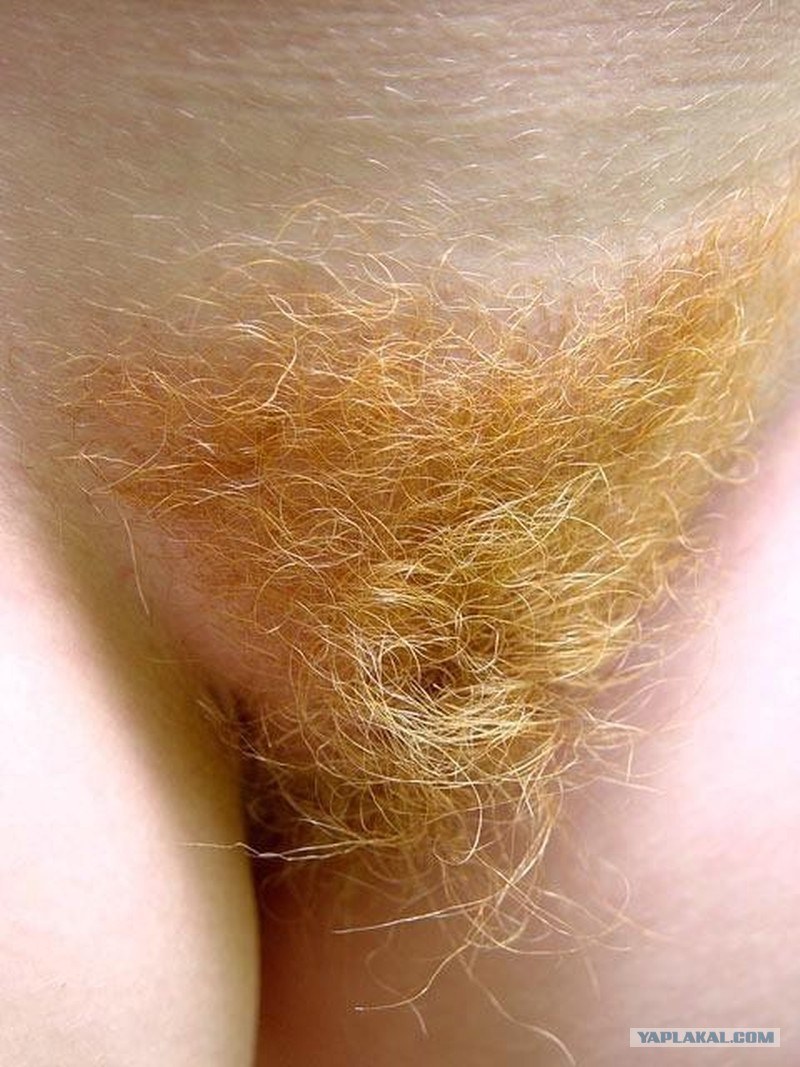 Long pubic hair