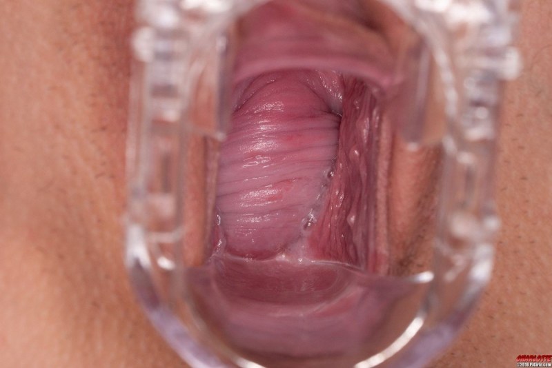 Women's vagina inside