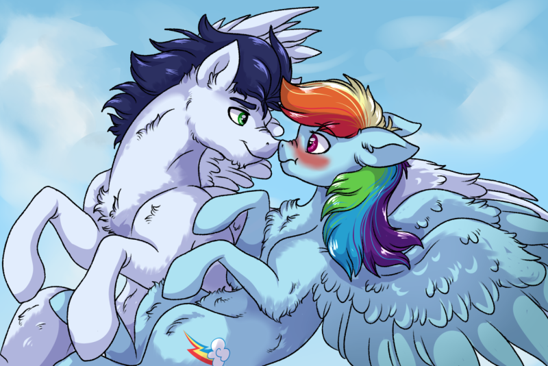 Pony Reinbow Dash and Soarin Sex