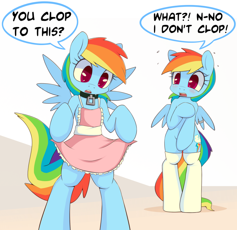 Reinbow Dash with a member