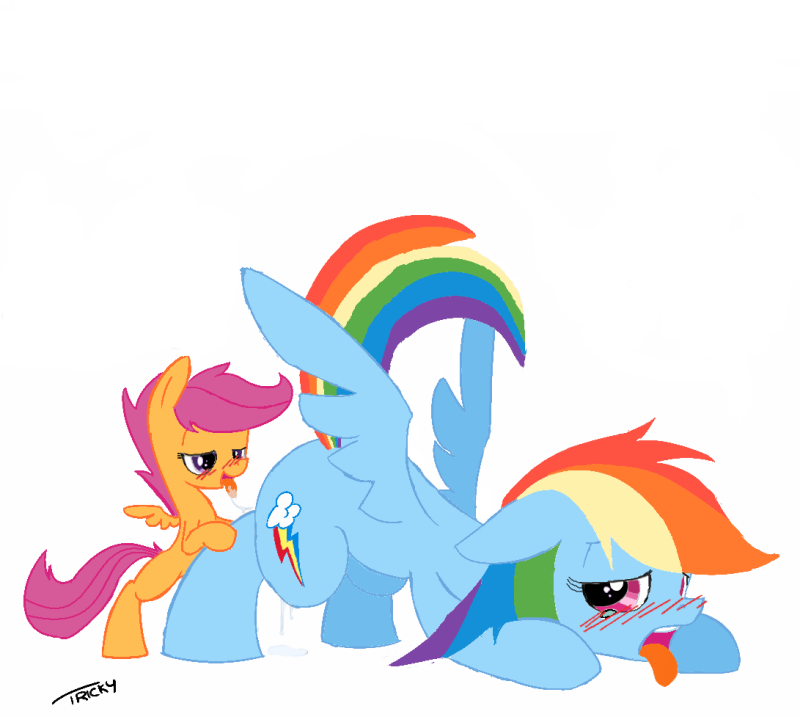 Reinbow Dash and S -CSX XXX