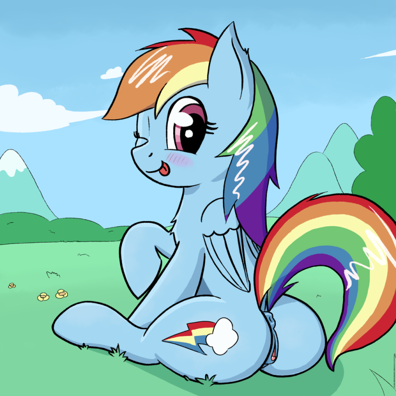 Rainbow Dash and Spitfire Naked