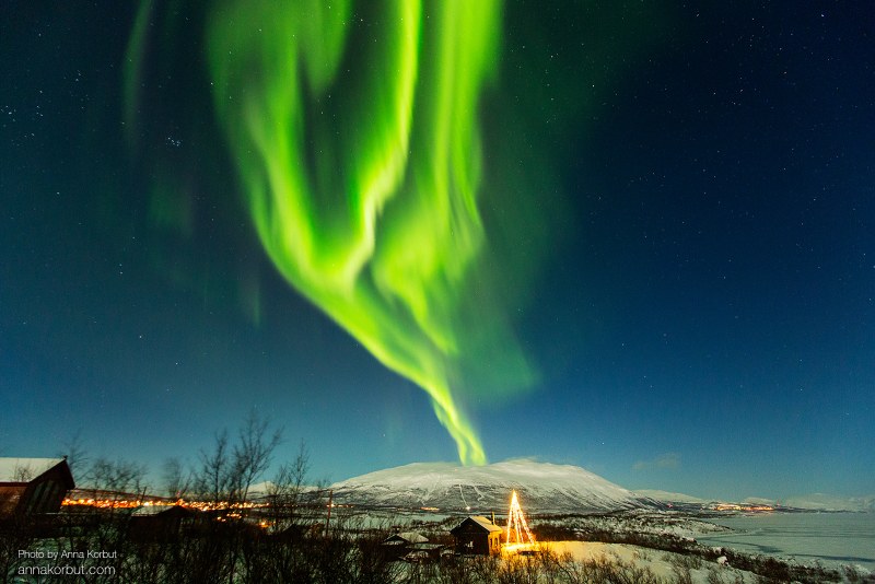 Pornhab statistics for 2020