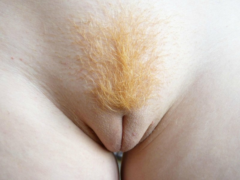 Photo close -up hairy actresses