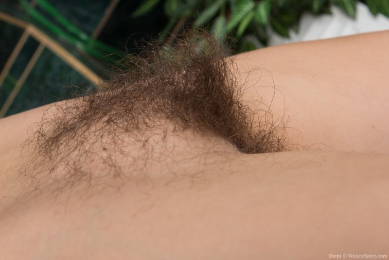 Hairy pussy Catherine Porto