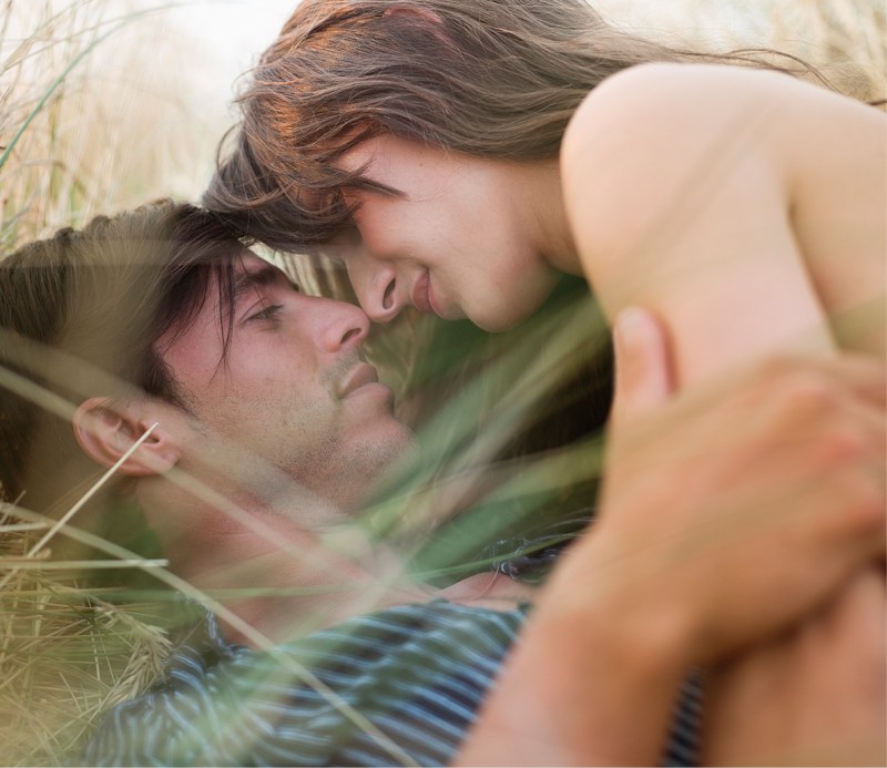 Labrador from the back