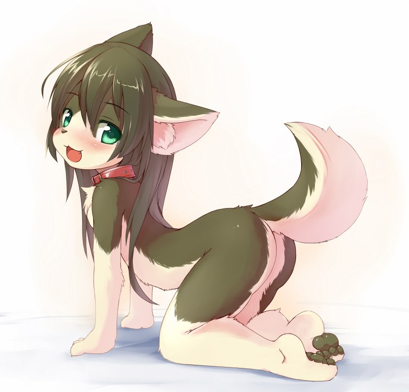 Anime Kitsune is maid