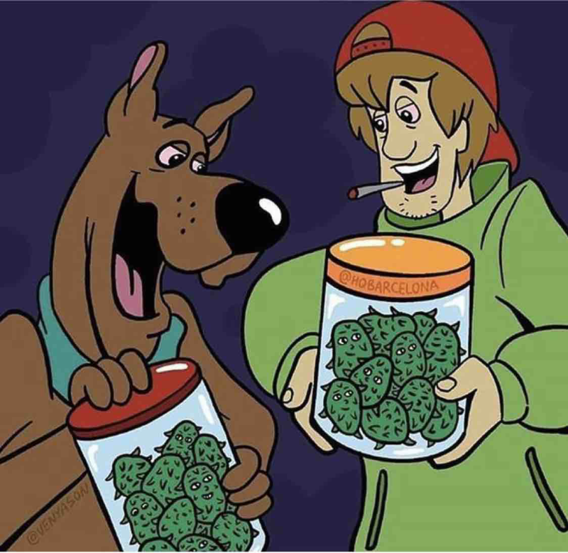 Sheggi Skububi Du -smoking