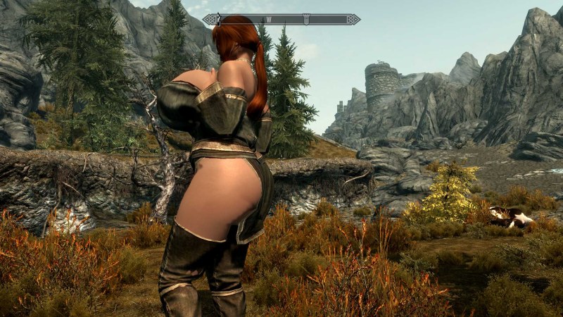 Skyrim Svva