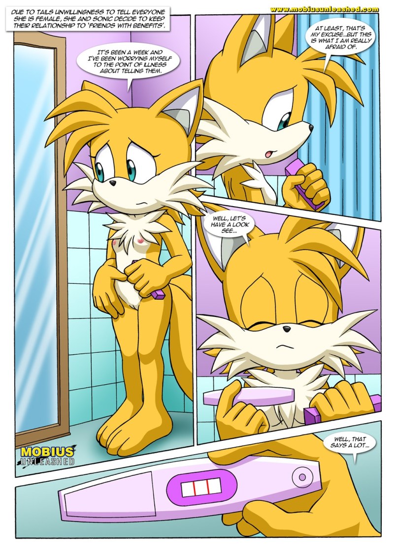 Comic Hentai Sonic Talez and Amy