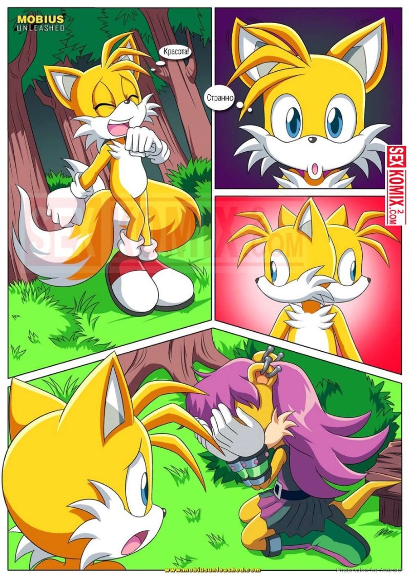 Sonic and Talez Hentai Yaoy