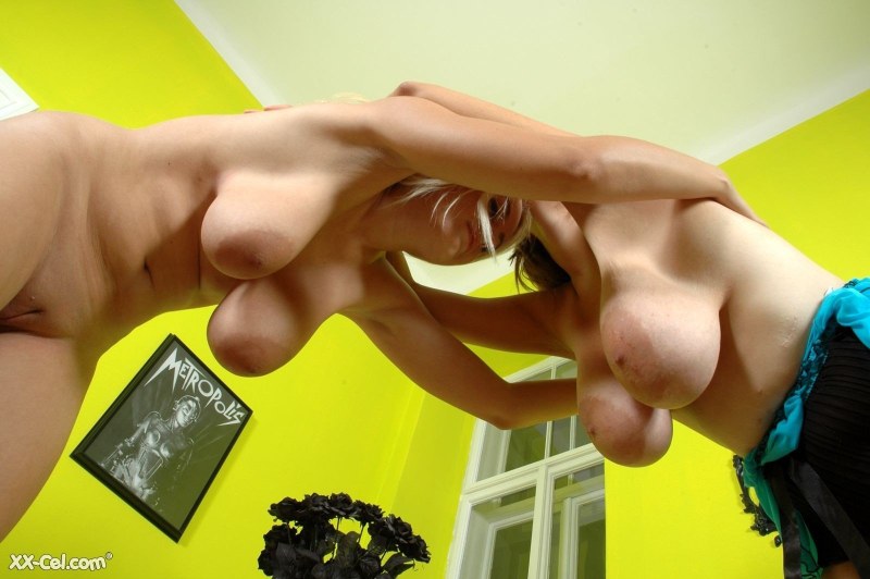 Fuck with big hanging tits