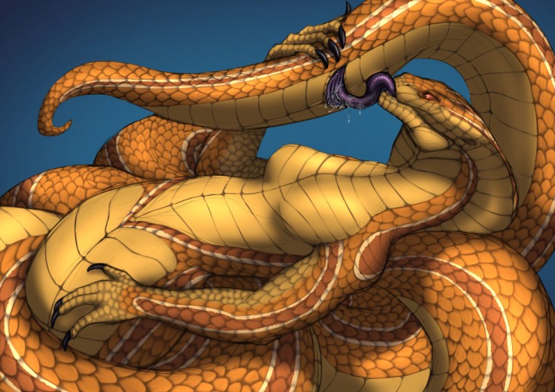 NOTSoraPOI NAGA SIREN