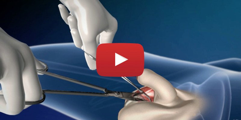 Gender Bender Futanari