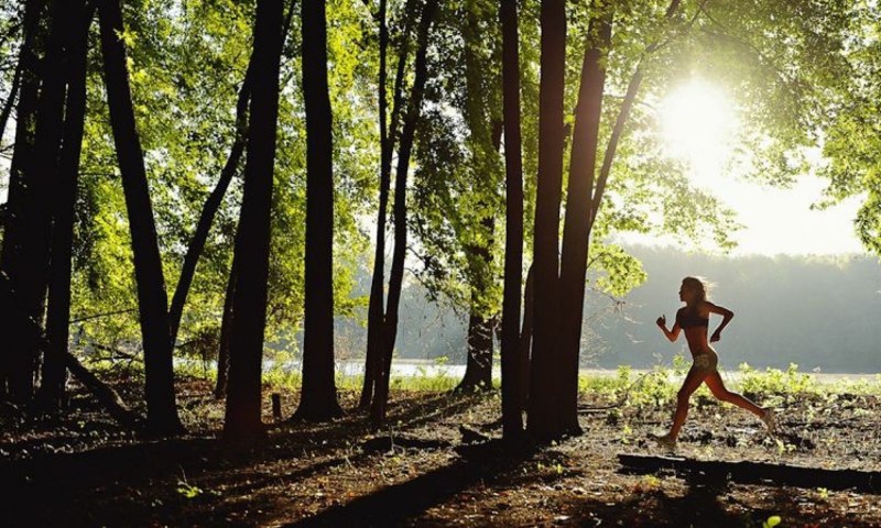 HorrorPorn E04 The Dark Side of the Woods XXX 1080P MP4