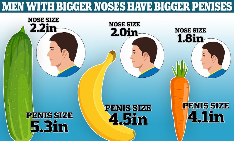 Dick Size by Age