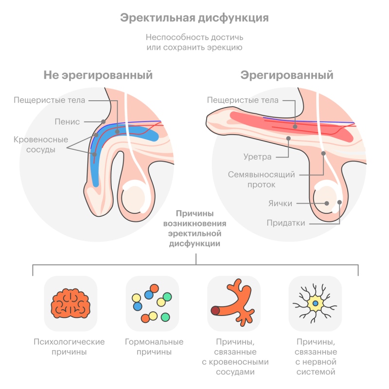 Ovice volume in boys