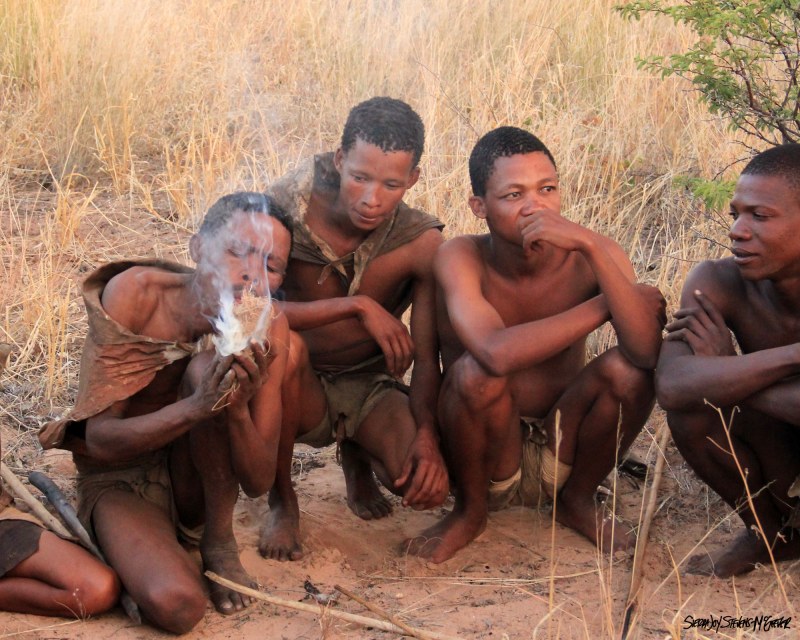 Africa anal in nature