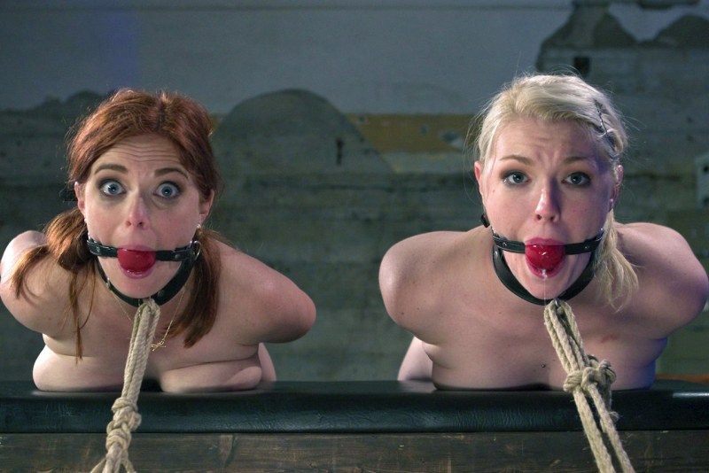 BDSM Penny Pax Education