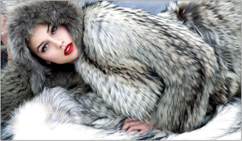 Daniella Dimitrovsk Fur Coat