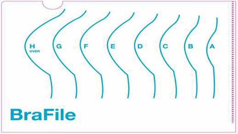 Naked women in stockings and bras