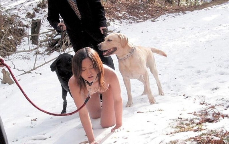 Girl slave on a leash dog