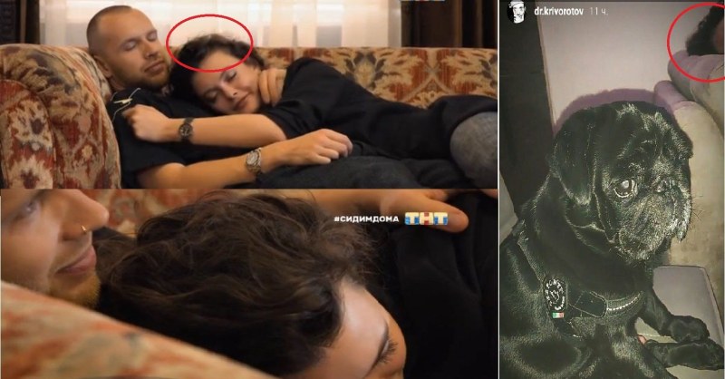 Funny pictures with inscriptions to tears about life