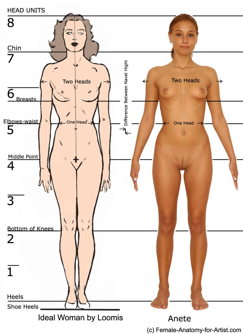 Development of the female body