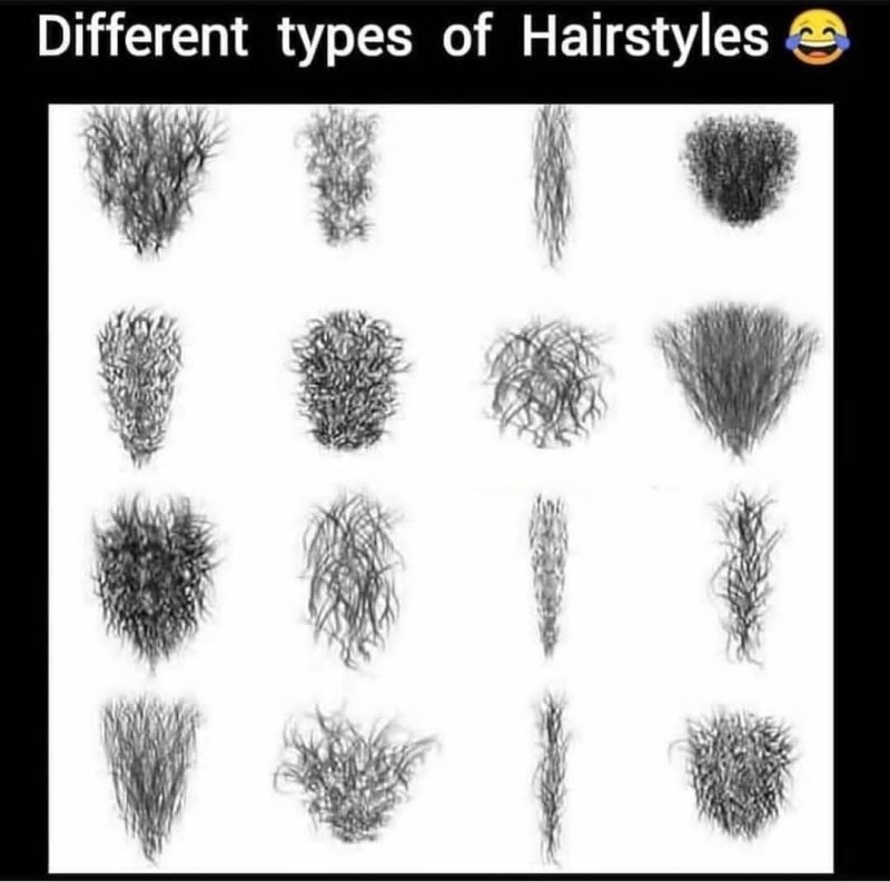 Naked hairy transvestites