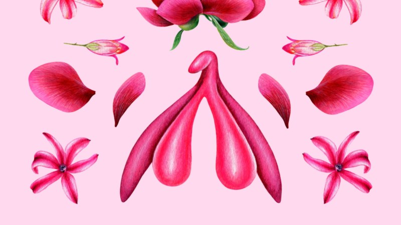 Vagina Pictogram