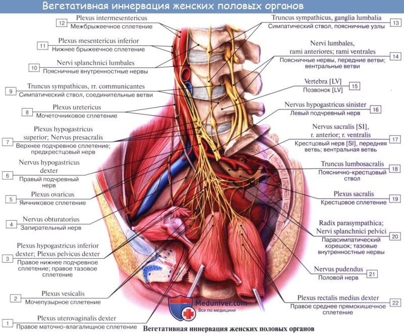 Breast tumor