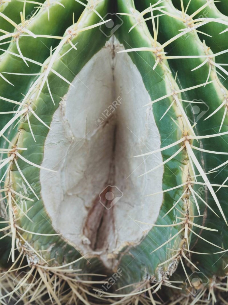 Eye -style vagina joke