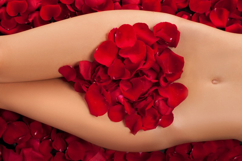 Rose similar to the vagina
