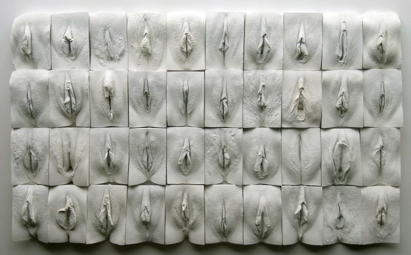 Forms of female vagina