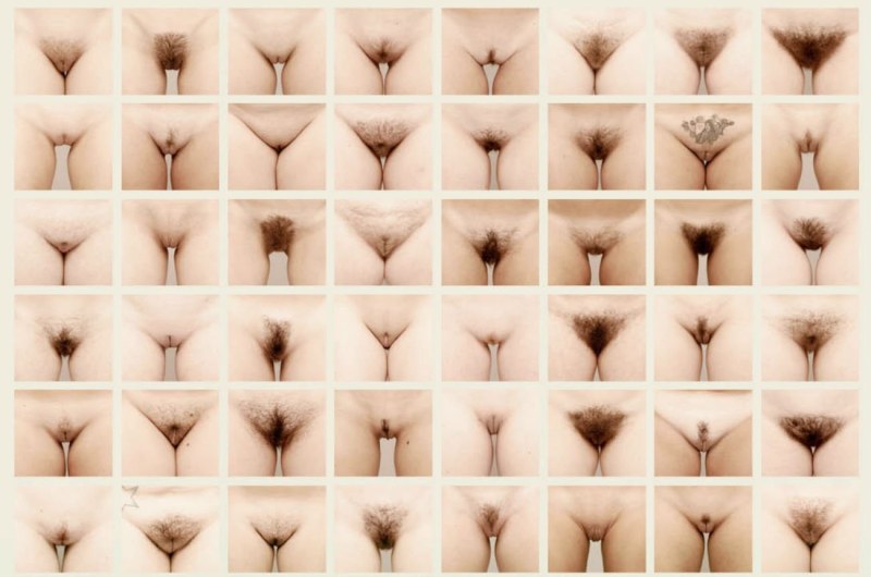 Jamie McCartney "The Great Wall of Vagin"