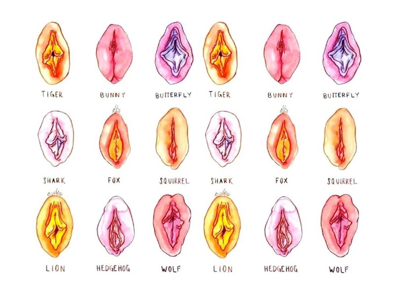 Vaginal formation