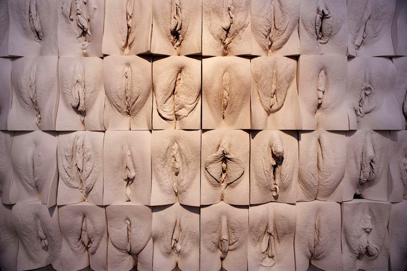 Forms of female genitals
