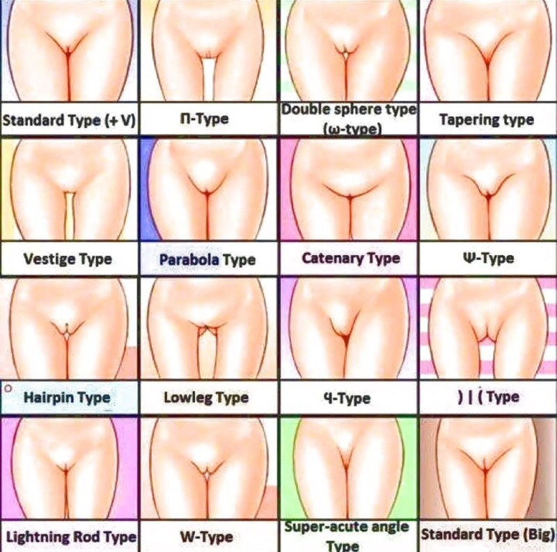 Neat labia