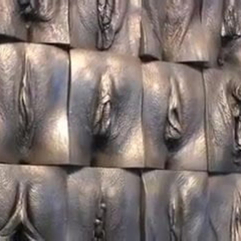 Vagina Completes Close -up