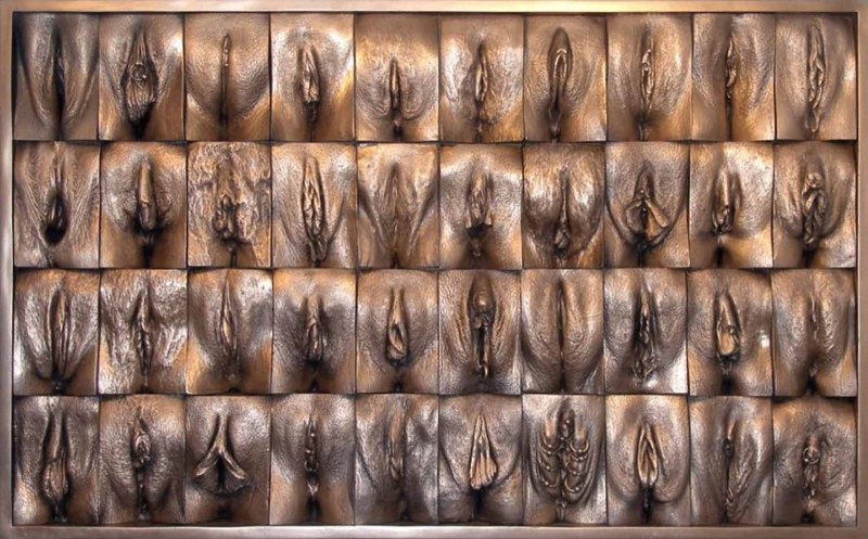 Various forms of vagina