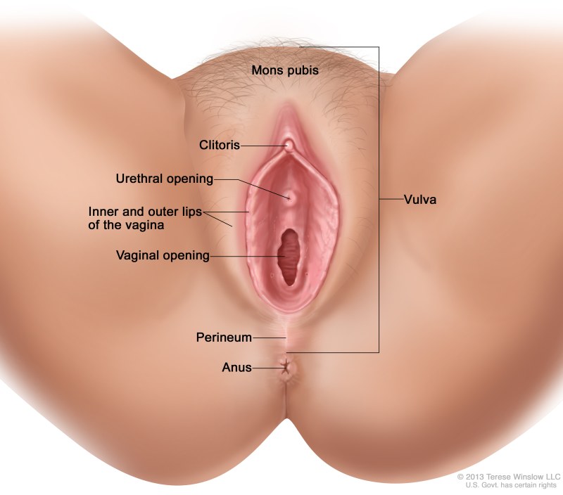 Varieties of vaginal photos