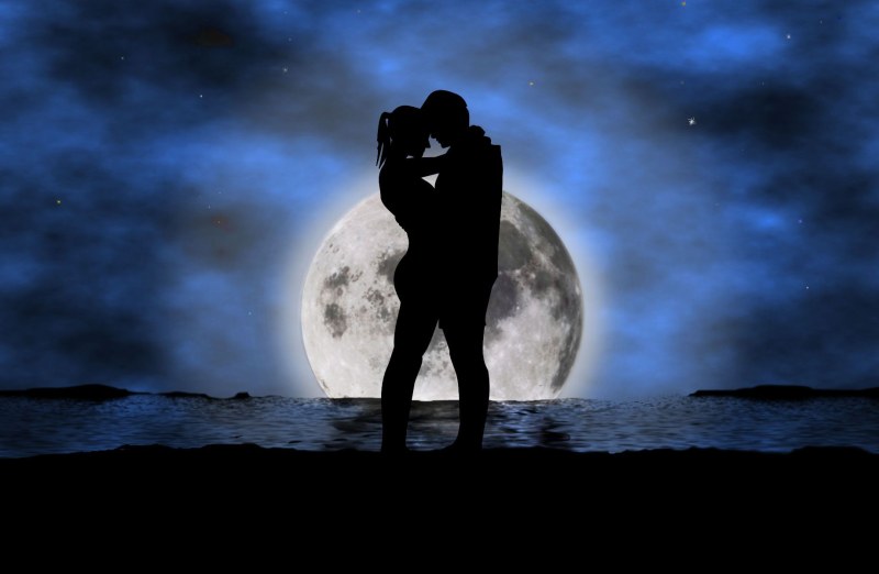 Pair against the background of the moon